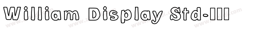 William Display Std字体转换